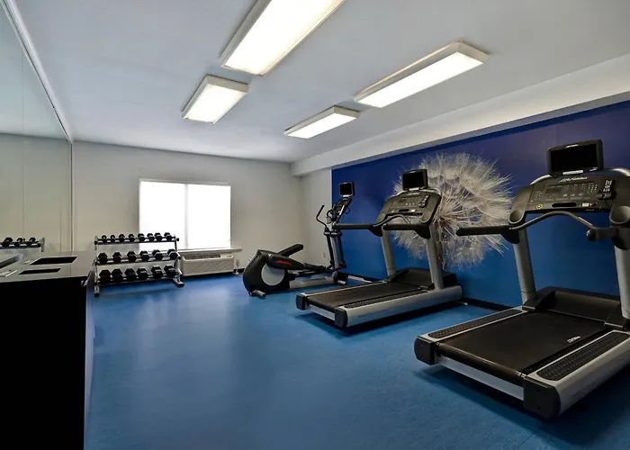 Pet Friendly hotel: Springhill Suites By Marriott Las Cruces